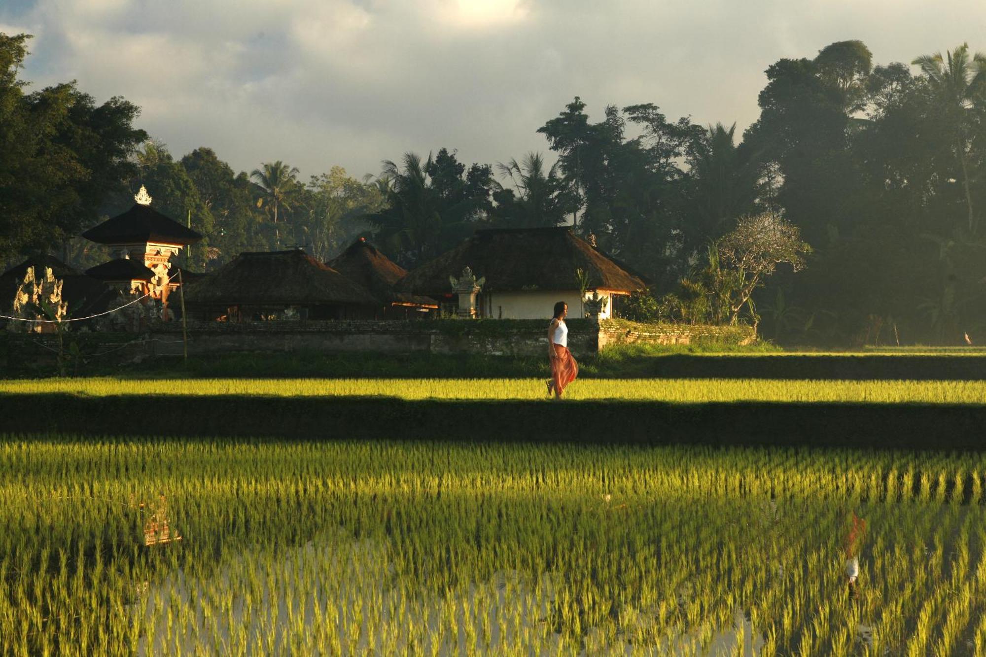 Kayumanis Ubud Private Villas & Spa Удобства фото